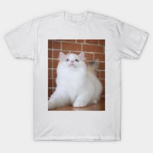 The little white cute cats T-Shirt